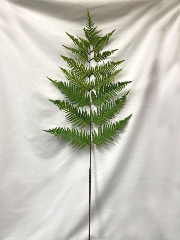 Artificial Fern Spray - Punga 70cm (Green)