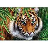 Holdson Puzzle - Gallery S8, 300pc XL (Big Tiger)