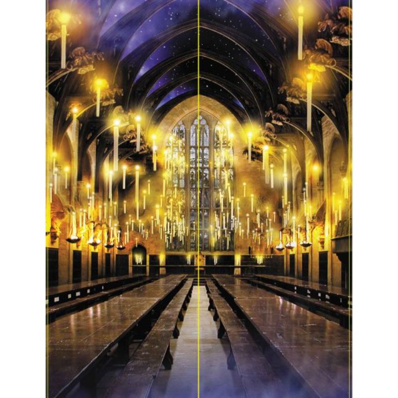 Pack of 2 Harry Potter Halloween scene setters, 203cm x 70cm, ideal for enchanting party décor and photo backdrops.