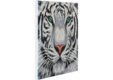 Crystal Art - White Tiger 30x30cm Kit