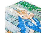 Crystal Art - Peter Under the Fence 18x18cm Card