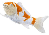 Mojo - Ochiba Shigure Koi Carp
