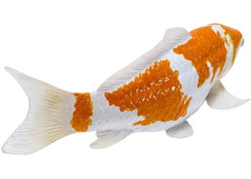 Mojo - Ochiba Shigure Koi Carp