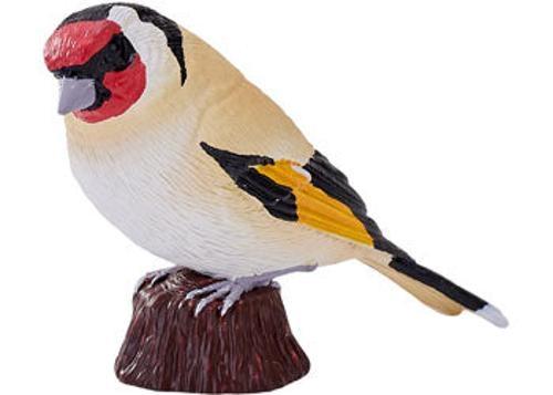Mojo - European Goldfinch