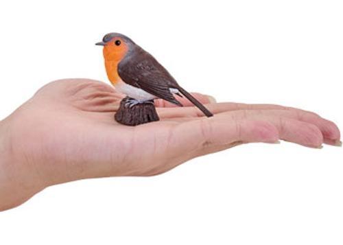 Mojo - Robin