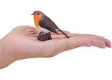 Mojo - Robin
