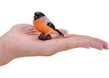 Mojo - Bullfinch