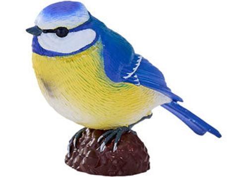 Mojo - Blue Tit