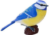 Mojo - Blue Tit