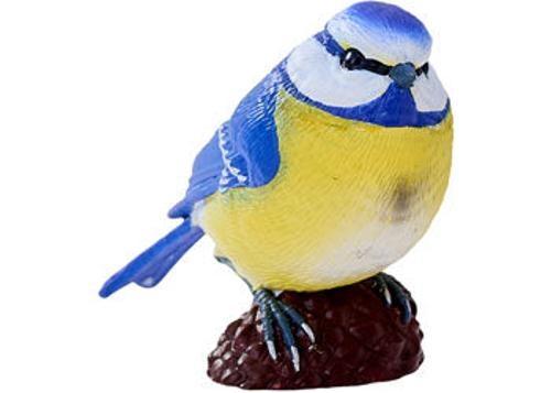 Mojo - Blue Tit