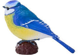 Mojo - Blue Tit