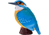 Mojo - Kingfisher