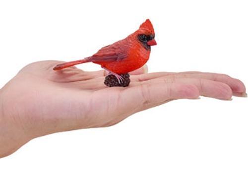 Mojo - Red Cardinal
