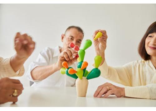 PlanToys - Balancing Cactus