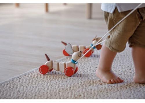 PlanToys - Happy Puppy