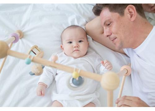 PlanToys - Play Gym Pastel