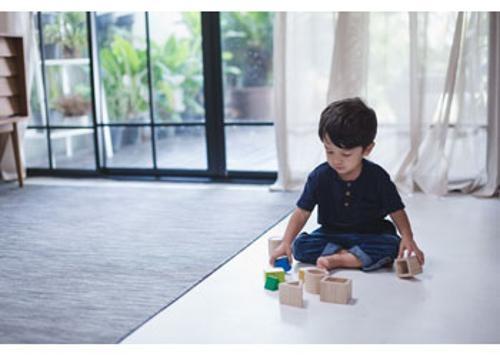 PlanToys - Geo Matching Boxes