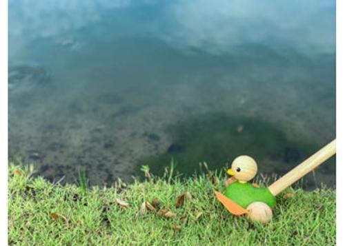 PlanToys - Push Along Duck