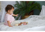 PlanToys - Farm Animals Set