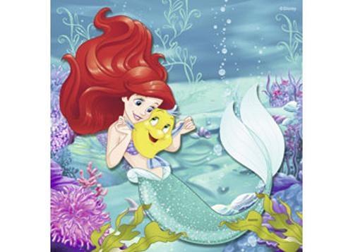Ravensburger - Disney Princesses Adventure Puzzle 3x49 Pieces