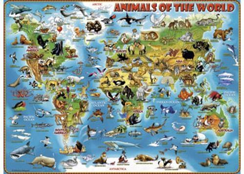 Ravensburger - Animals of the World Puzzle 300 Pieces