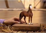 Schleich - Marwari Mare