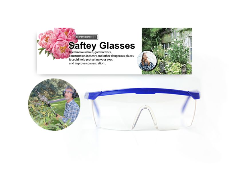 Safety Glasses - Professional Choice (Set of 12)
