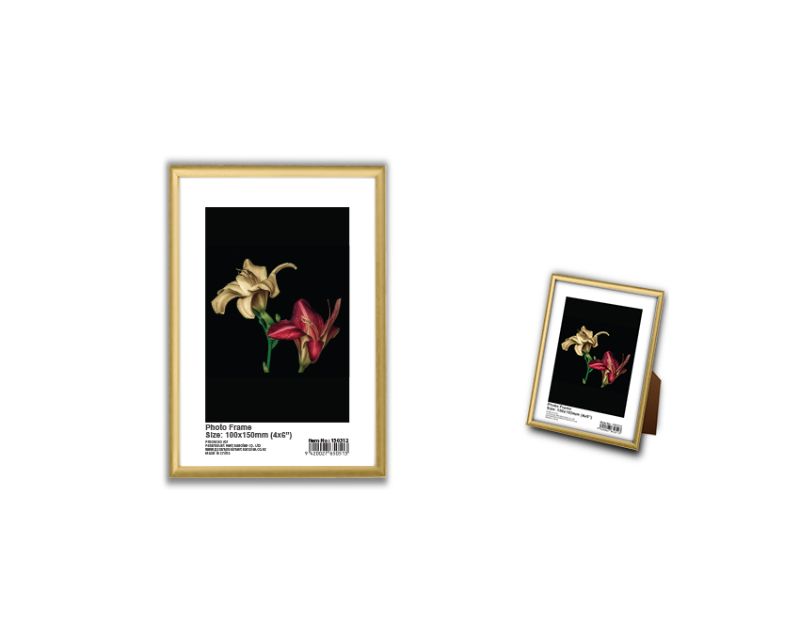 Photo Frame - Max Brand Gold 10 x 15cm (Set of 48)