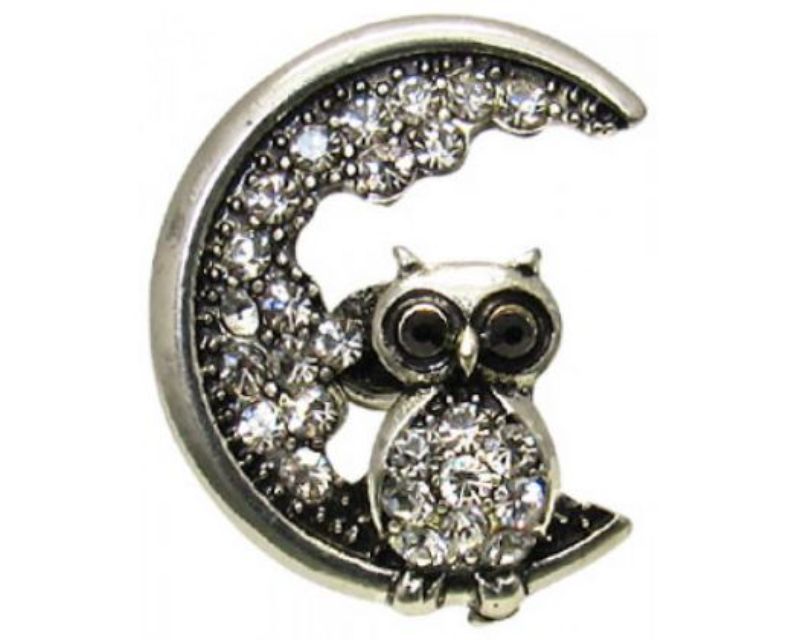 Whimsical owl art against a serene moonlit backdrop, perfect for enhancing home decor with a magical vibe.