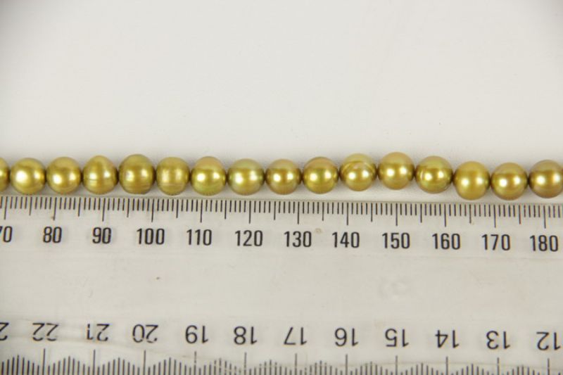Beads - Pearls (Freshwater) -  PERIDOT