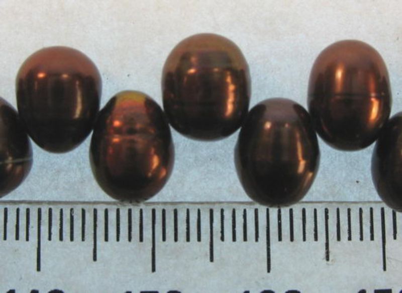 Beads - Pearls (Freshwater) -  DK.BROWN