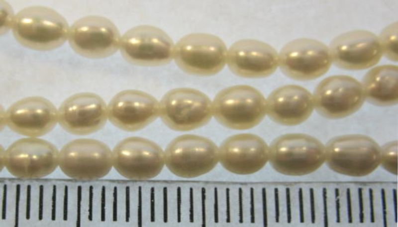 Beads - Pearls (Freshwater) -  CREAM