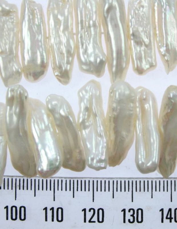 Beads - Pearls (Freshwater) -  CREAM - Strand of 63 Pears