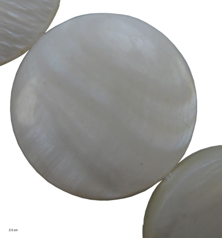 Beads - Shell - 20mm Rd  20pcs  - Set of 2