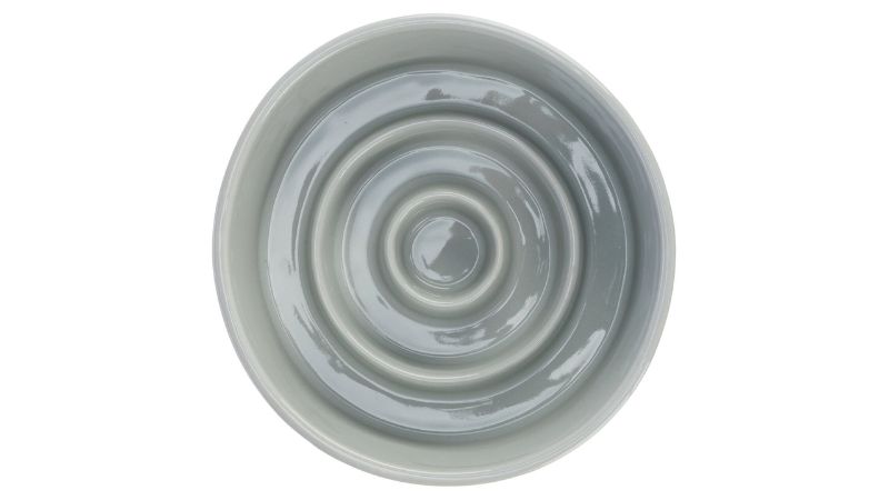 Ceramic Dog Bowl - Slow Feed (900ml)