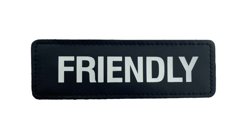 Side Patch - L FRIENDLY