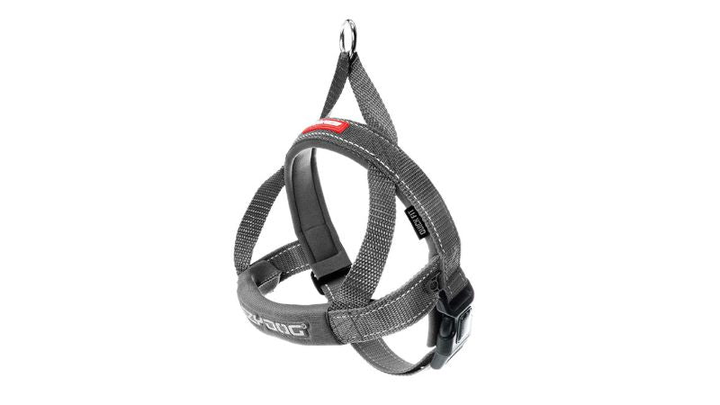 Dog Harness - ED QF Medium (Grey)