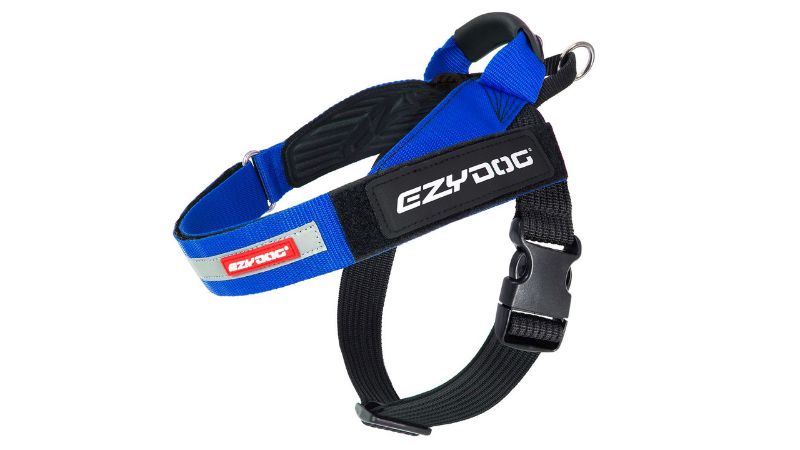 Dog Harness - ED Express XL (Blue)