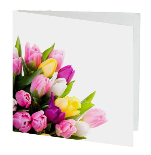 Vibrant tulip-themed gift cards, 7cm square, pack of 10, perfect for birthdays and special occasions.