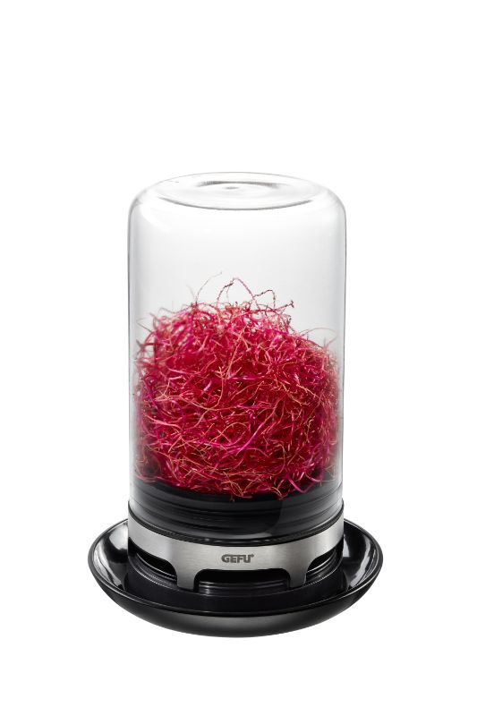 Sprouting Jar - Gegu Bivita (18.4cm)