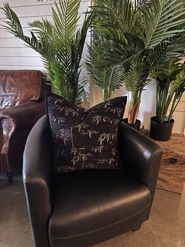 Snugg & Co. Cushion Cover - Bamboo Leaf Cushion Cover - Black Jacquard