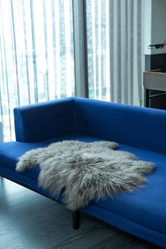 Tibetan Long Wool Single Sheepskin - Grey