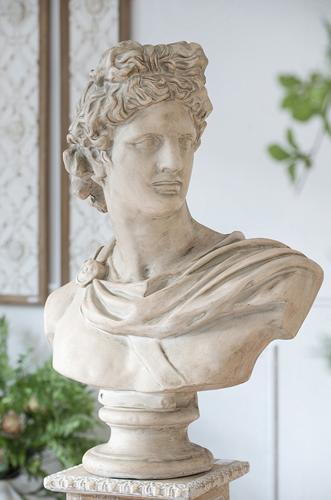 Bust Statue - 610 X 342 X 787