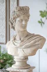 Bust Statue - 610 X 342 X 787