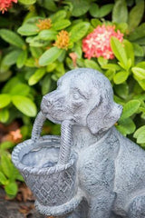 Dog Planter - 360 X 170 X 420