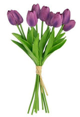 Tulips 9 Stem Purple