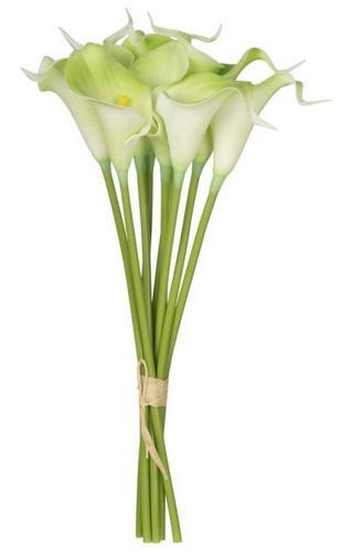 9 Pce Calalily Bunch - Green