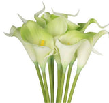 9 Pce Calalily Bunch - Green