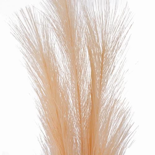 Artificial Pampas Grass X3 Branches - Blush