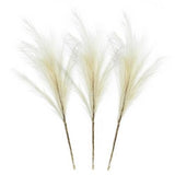 Artificial Pampas Grass X3 Branches - Natural